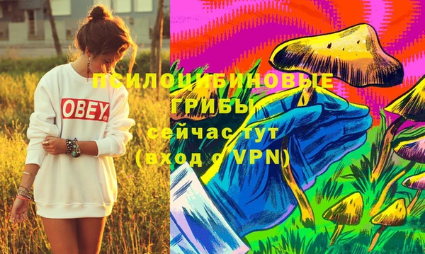 мет Инсар