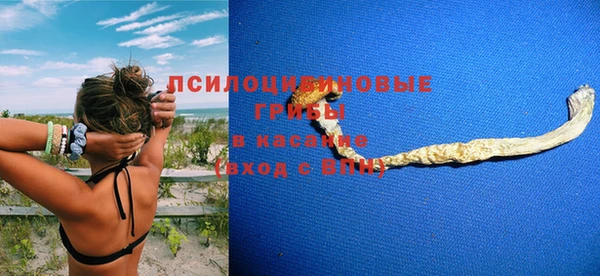 мет Инсар