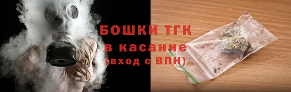 мет Инсар