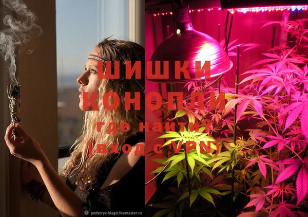 скорость Инта