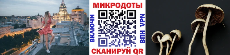 Галлюциногенные грибы Cubensis  Купить закладки  Аткарск 